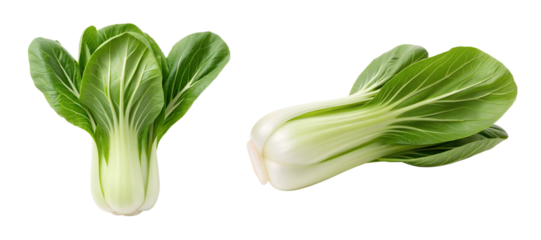 Bok choy isolated on transparent background