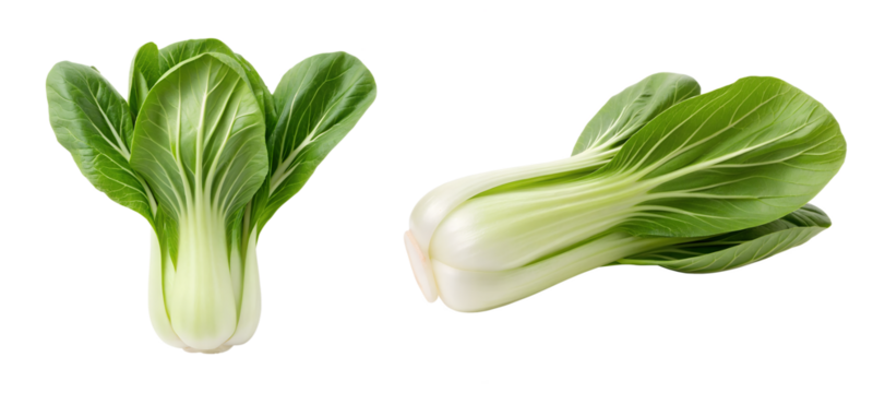 Bok choy isolated on transparent background