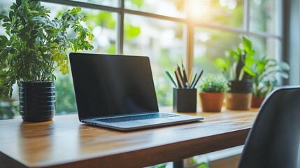 Laptop Workspace, Plants, Window Light