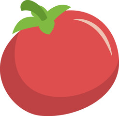 Vegetable Illustration