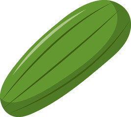 Vegetable Illustration