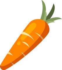 Vegetable Illustration