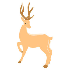 Christmas theme hand drawn PNG clip art, cute cartoon style, such as Santa Claus, gift box, reindeer, candle, bow, bell, etc. for decoration and design.