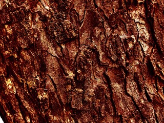 THE BEAUTY OF ABSTRACT ARTISTIC WOOD SURFACE TEXTURE