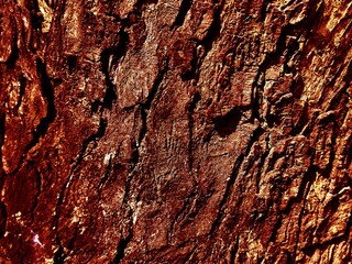 THE BEAUTY OF ABSTRACT ARTISTIC WOOD SURFACE TEXTURE