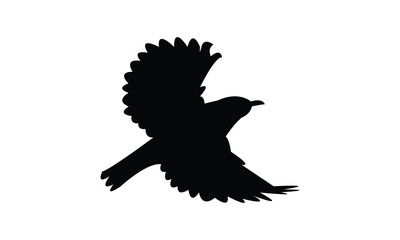 Ambon white-eye bird Silhouette Design  And Vector Illustration. 