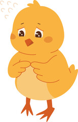 Shy Chick Looking Down

