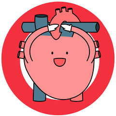 正解を示す心臓のイラスト