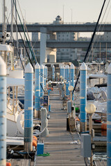 Symmetrical View of Marina Pier with Docked Yachts and Urban Background in Busan, South Korea

