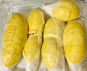 durian, Thai fruit, tropical fruit, exotic fruit, fruit, sweet, creamy, yellow, golden, ripe, delicious, dessert, snack, healthy, fresh, Asian food, Southeast Asian, king of fruits, Monthong, durian p