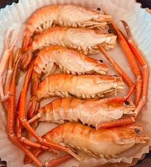 food, seafood, shrimp, grilled shrimp, prawns, barbecue, delicious, dinner, restaurant, Thai food, cooked, roasted, charcoal, spicy, savory, plate, gourmet, cuisine, Asian food, seafood platter, fresh