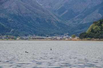 Obraz premium Showing love in a family with parents and children