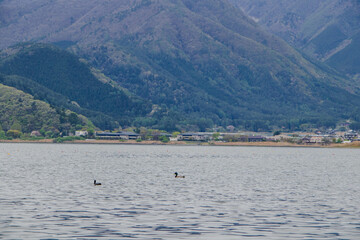 Obraz premium Showing love in a family with parents and children