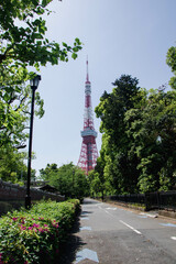 Obraz premium Depending on your needs and budget, Japan has a variety of tourist attractions