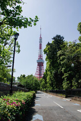 Obraz premium Depending on your needs and budget, Japan has a variety of tourist attractions