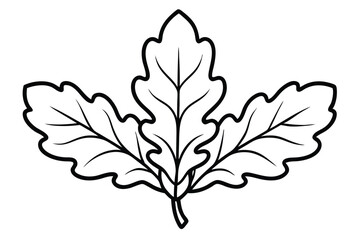 Elegant Oak Leaf Illustration Nature's Graceful Design