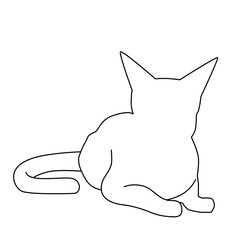Cat Line Art Illustration