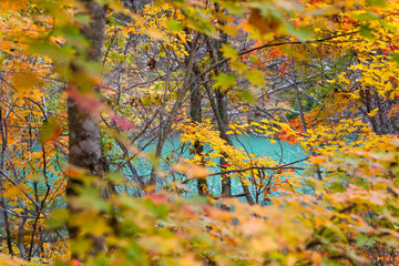 Bishamon-numa Pond is the largest and most popular pond. The colorful pond reflecting sunlight is a highlight of a visit to Goshikinuma Ponds, located in the Urabandai area, Fukushima, Japan