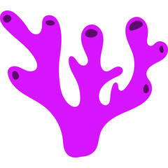 Sea Coral Reef