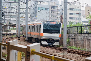 Go on a trip to Japan