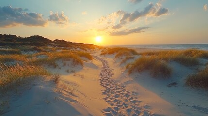 Softagri golden beach sunset stretching towards a warm June sunset