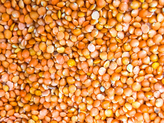 Red lentils in glass bowl. Dry orange lentil grains, heap of dal, raw daal, dhal, masoor, Lens culinaris or Lens esculenta on dark background