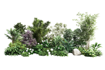 Decorative park and garden plants isolated on grey background in high-resolution PNG cutout for versatile botanical and landscape design projects
