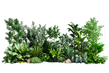 Decorative park and garden plants isolated on grey background in high-resolution PNG cutout for versatile botanical and landscape design projects