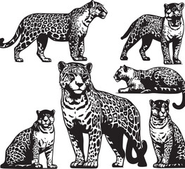 Black and White Jaguar Vector Illustration – Minimalist Wild Cat Silhouette Art	