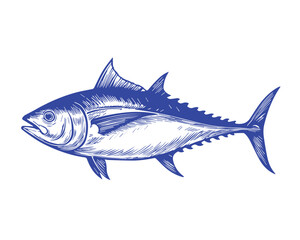 Vector line illustration of a tuna fish in blue color