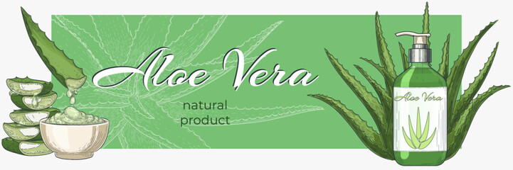 Spa poster. Aloe vera hand drawn isolated element. Plant sketch of green leaves. Cosmetic medicine gel. Retro herbs, health beauty. Soap in bottle. Advertising banner. Vector watercolor background