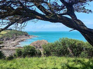 PAYSAGE BORD DE MER 2