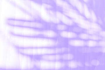 Purple palm leaves shadow on white paper texture background, blank white paper with leaves pattern background, purple filter effect