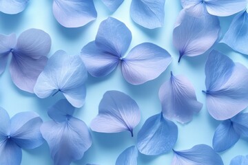 Blue hydrangea petals scattered on a light blue background, close up. Ideal for backgrounds, invitation cards, or product presentation.
