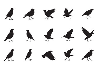 Minimalist Bird Silhouettes Collection on White Background.