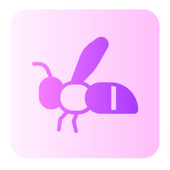 wasp gradient icon