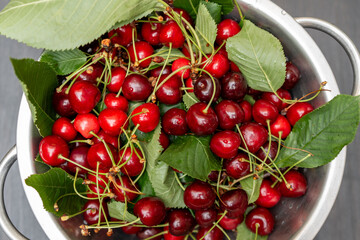 Cerises fraichement cueillies vues de haut