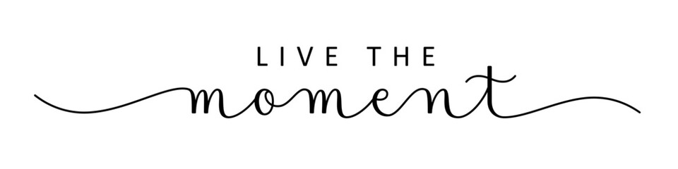 LIVE THE MOMENT black vector brush calligraphy banner with swashes