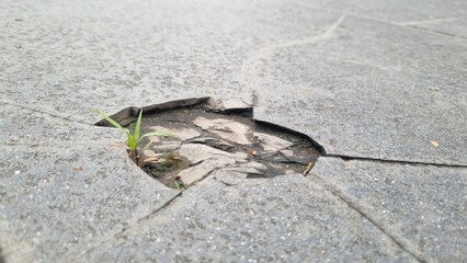 Cracked grey marble stone texture with dark fissures and detailed rough surface. Large crack in a tiled floor, in a urban slate road surface, suggesting structural damage.  Perfect for backgrounds.