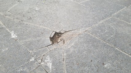 Cracked grey marble stone texture with dark fissures and detailed rough surface. Large crack in a tiled floor, in a urban slate road surface, suggesting structural damage.  Perfect for backgrounds.