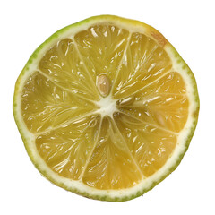 Lime slice juicy citrus fruit cross section