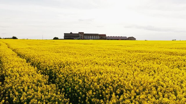 Aerial motion, rural farmland captures spring bloom industrial relic in one shot