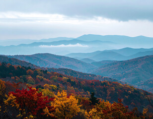 Foggy Autumn Mountain Landscape