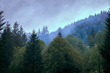 Wallpaper image. Picture in dramatic tones. Mountain peak in fog. Dark mysterious colors predominate.