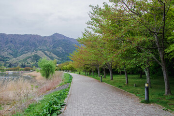Japan is beautiful whenever you visit