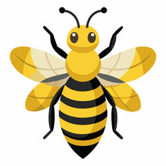 bee on white background