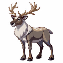 deer vector illustration