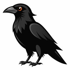 crow on a white background