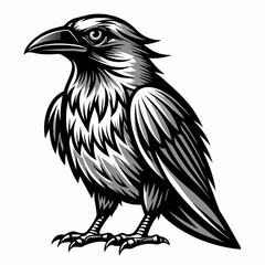 vector illustration of an eagle