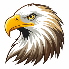 american bald eagle vector